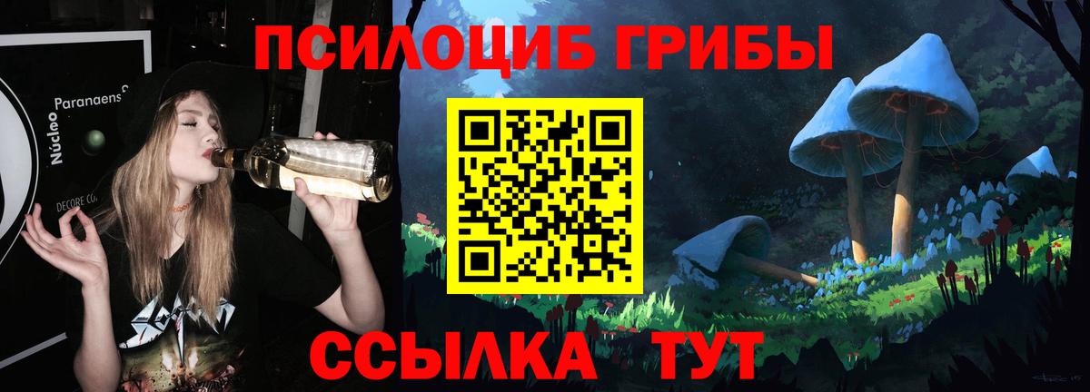 Галлюциногенные грибы Magic Shrooms  Псилоцибиновые грибы Magic Shrooms  Вход с VPN  наркошоп  Тамбов 